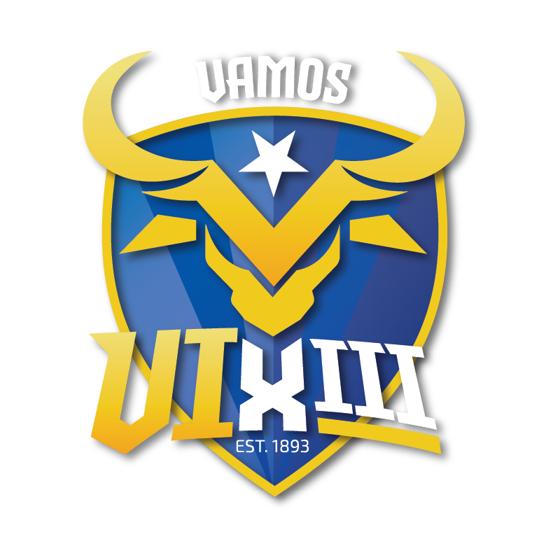 VIKING VIXIII